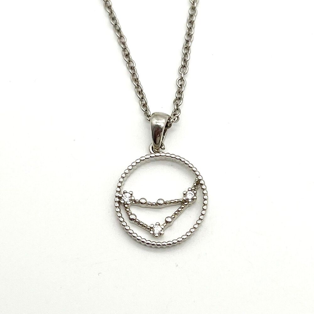 Capricorn Constellation Zodiac Silver Tone CZ Pendant Charm Dainty Necklace 16”